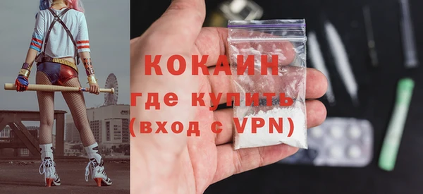 не бодяженный Бородино