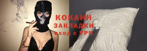 не бодяженный Бородино