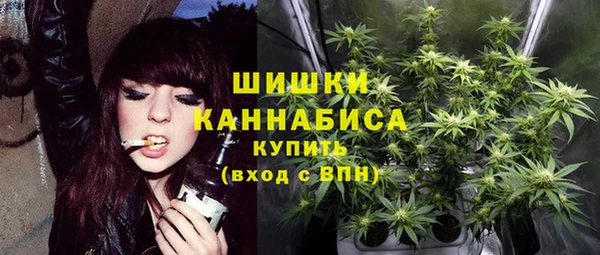 не бодяженный Бородино