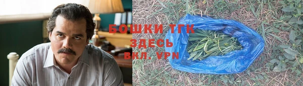 не бодяженный Бородино