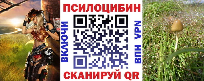 Псилоцибиновые грибы Cubensis  сколько стоит  Грайворон 